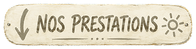 SERVICIOS